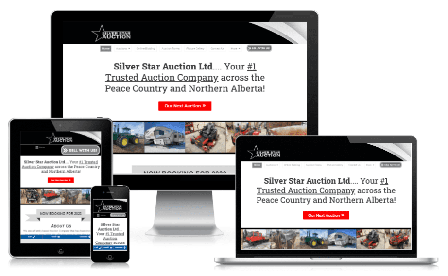 Jay's Digital Consulting Web Design SEO Search Engine Optimization Lead Generation Reputation Management _ Silver Star Auction